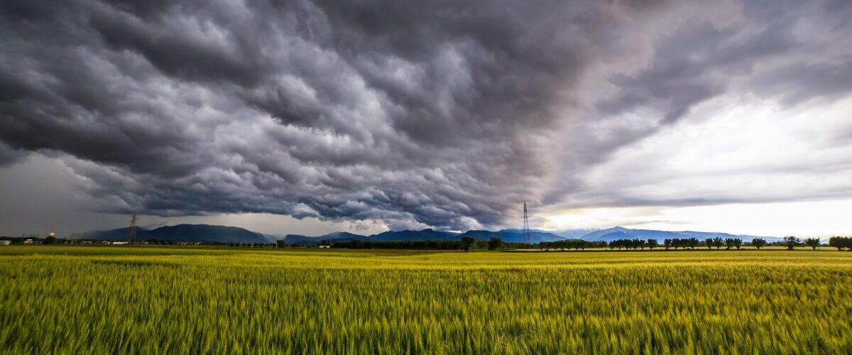 Starkregen und dunkle Gewitterwolken über Sachsen-Anhalt