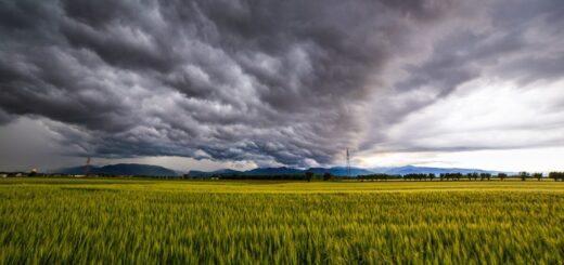 Starkregen und dunkle Gewitterwolken über Sachsen-Anhalt